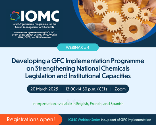 Flyer for IOMC webinar on 20 March 2025
