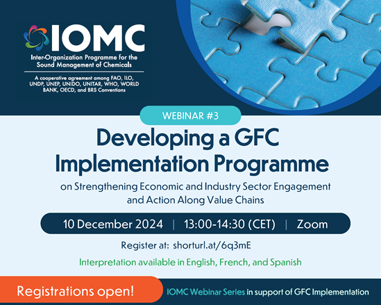 Flyer for IOMC webinar on 10 December 2024